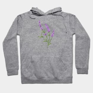 Lavender 2 Botanical Hoodie